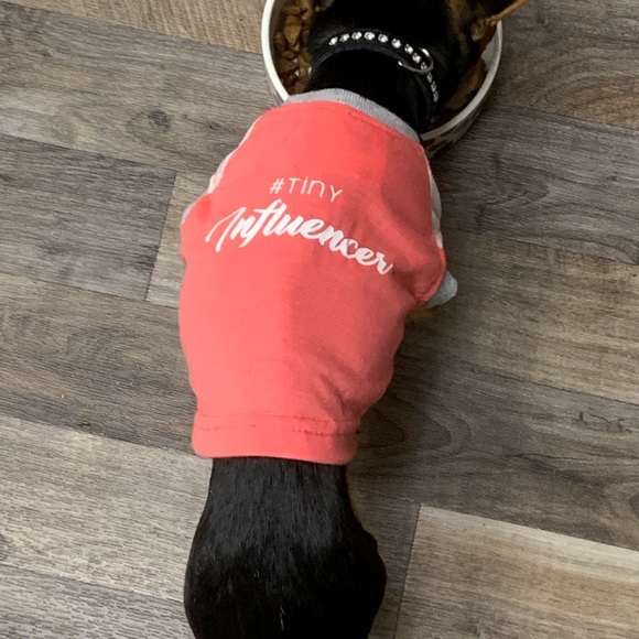 Posh Ambassador 🛍Buyer, Seller, & Stylist - Picture 12 of 12